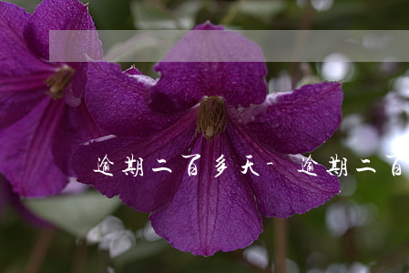 逾期二百多天-逾期二百多天怎么辦
