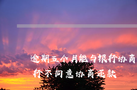 逾期五个月能与银行协商还款吗-逾期后银行不同意协商还款