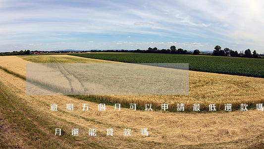 逾期五個月可以申請最低還款嗎-逾期5個月還能貸款嗎
