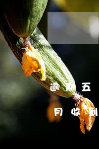 逾期五個月收到律師函是假的嗎-逾期五個月收到律師函是假的嗎怎么辦