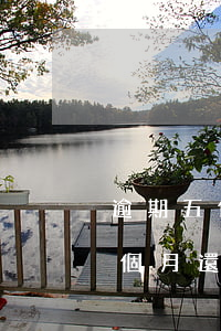 逾期五個月還清了信用卡還能用嗎-逾期五個月還清了信用卡還能用嗎知乎
