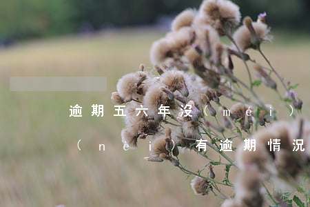 逾期五六年沒(méi)還好貸款不(5年內(nèi)有逾期情況還能貸款嗎)