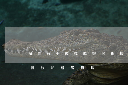 逾期五十塊錢能辦房貸嗎(有五萬(wàn)貸款能辦房貸嗎)