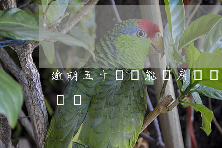 逾期五十塊錢能辦房貸嗎(有五萬貸款能辦房貸嗎)