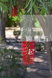 逾期五十天被起訴(逾期45天會(huì)起訴嗎?)