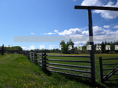 逾期五千多待還款截圖(還款500截圖)