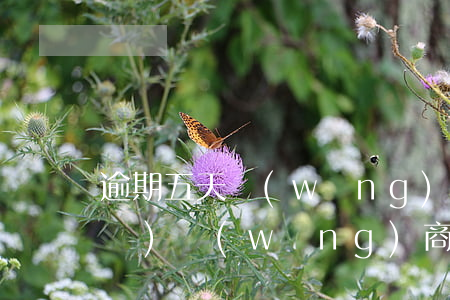 逾期五天網(wǎng)商貸就不開發(fā)(網(wǎng)商貸逾期兩個(gè)小時(shí)會(huì)怎么樣)