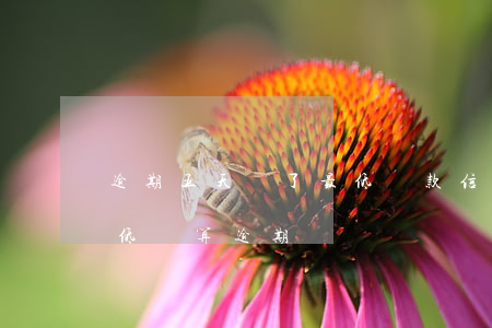 逾期五天還了最低還款(信用卡逾期5天還最低還算逾期嗎)