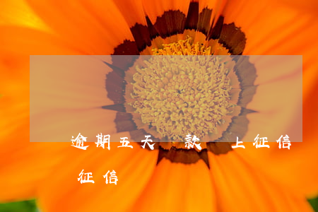 逾期五天還款會上征信嗎(信用卡逾期五天上征信嗎)