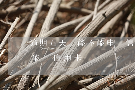 逾期五天還能不能申請信用卡-逾期五年后能辦信用卡嗎