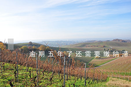逾期五年了还需要缴纳滞纳金吗-