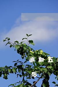 逾期五年了還會(huì)起訴嗎 逾期5年后