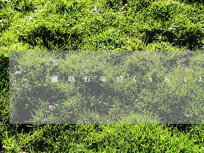 逾期五年時(shí)間到了怎么清除逾期-
