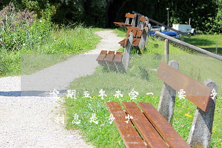 逾期五年本金一萬要還多少-一萬逾期五年利息是多少