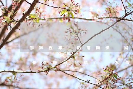 逾期五年過后信用卡還能辦理嗎 五年前信用卡逾期已還清!還怎么辦信用卡