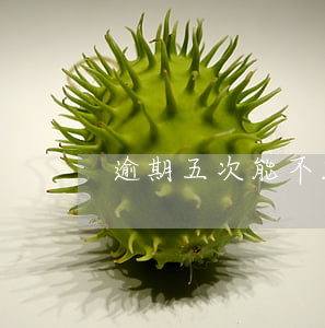 逾期五次能不能貸款(逾期五次能不能貸款)