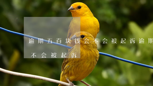 逾期五百块钱会不会被起诉(逾期五百块钱会不会被起诉)
