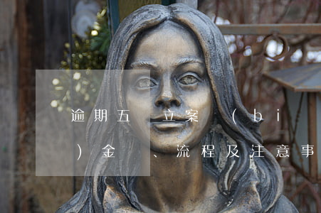 逾期五萬立案標(biāo)準(zhǔn)：金額、流程及注意事項全解析