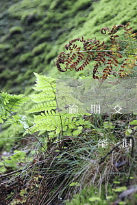 逾期交了首付還能退嗎怎么退（逾期交了首付還能退嗎）