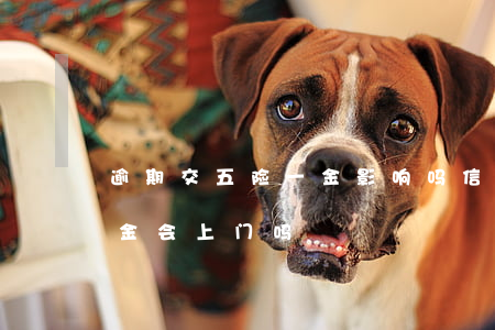 逾期交五险一金影响吗（信用卡逾期交五险一金会上门吗）