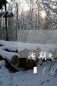 逾期交付物業(yè)費怎么收（逾期交付物業(yè)費）