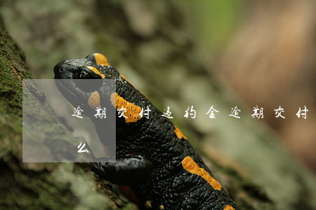 逾期交付违约金(逾期交付违约金的案由写什么)