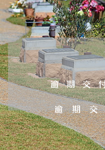 逾期交付違約責(zé)任沒約定怎么判-逾期交付違約責(zé)任沒約定怎么判決