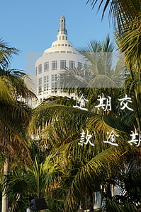 逾期交增值稅怎么報(bào)-增值稅稅款逾期繳納會(huì)怎么樣?