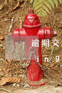 逾期交增值稅會(huì)影響納稅評(píng)級(jí)嗎-逾期交增值稅會(huì)影響納稅評(píng)級(jí)嗎為什么