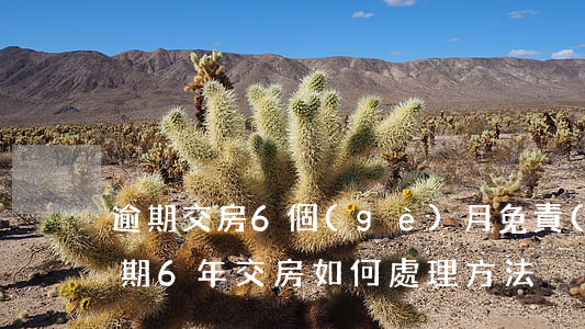 逾期交房6個(gè)月免責(zé)期（逾期6年交房如何處理方法）