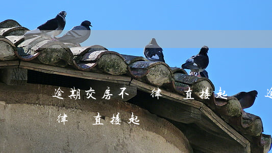 逾期交房不請律師直接起訴嗎(逾期交房不請律師直接起訴嗎)