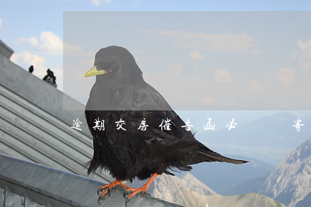 逾期交房催告函必須郵寄嗎（逾期交房催告函）