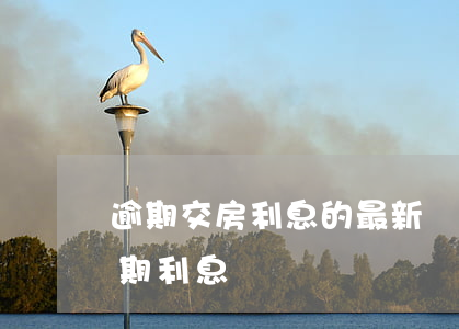 逾期交房利息的最新規(guī)定(房貸逾期利息)