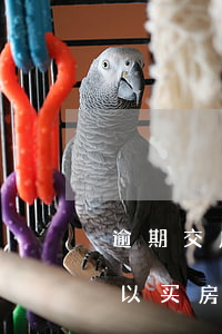 逾期交房十年还能起诉吗 逾期了10多天可以买房不