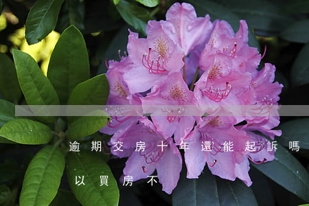 逾期交房十年還能起訴嗎 逾期了10多天可以買房不