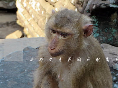 逾期交房原因（开发商关于逾期交房的解释）