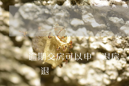 逾期交房可以申請退房嗎（逾期交房起訴退房會退錢嗎）