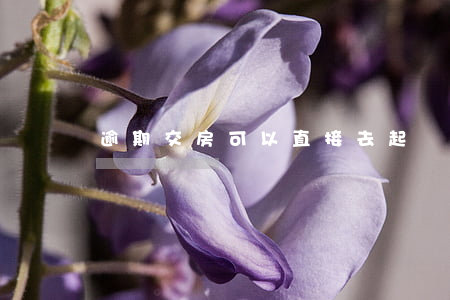 逾期交房可以直接去起訴嗎