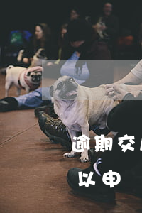 逾期交房可以直接起訴退房嗎-逾期交房可以申請(qǐng)退房嗎