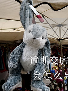 逾期交房可以等交房再起诉吗(逾期交房法院会怎么判)