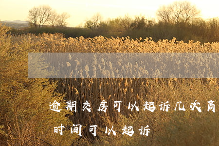 逾期交房可以起诉几次(商品房逾期交房多长时间可以起诉)