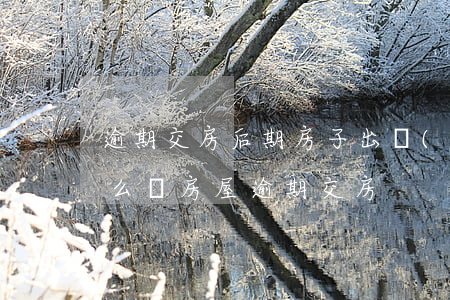 逾期交房后期房子出現(xiàn)問題怎么辦(房屋逾期交房)