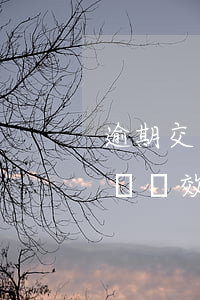 逾期交房四年過訴訟時效(逾期交房四年過訴訟時效)