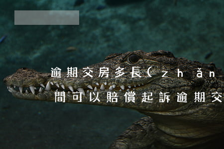 逾期交房多長(zhǎng)時(shí)間可以賠償（起訴逾期交房需要花多少錢）