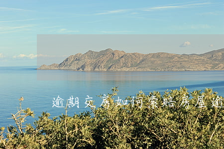 逾期交房如何索赔 房屋逾期交房怎么处理