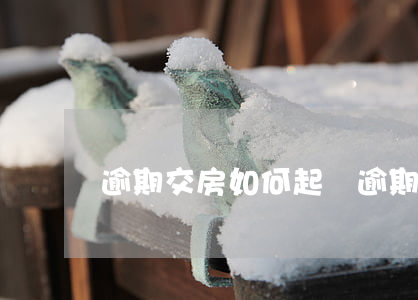 逾期交房如何起訴（逾期交房違約怎么訴訟）