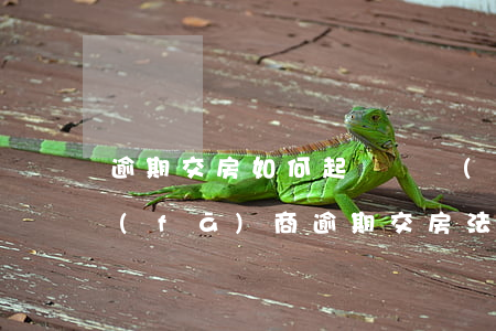 逾期交房如何起訴開發(fā)商(起訴開發(fā)商逾期交房 法院 不支持)