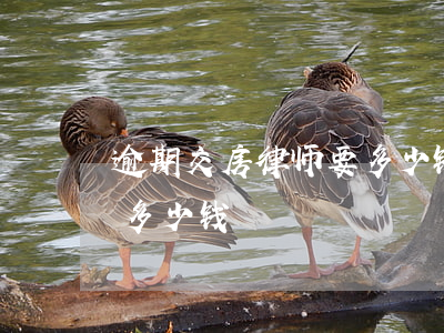逾期交房律师要多少钱(房屋违约请律师需要多少钱)