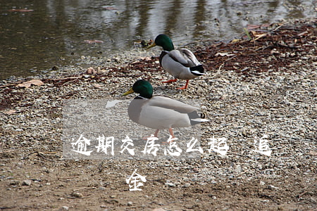 逾期交房怎么起訴追討違約金(逾期交付房屋違約金)