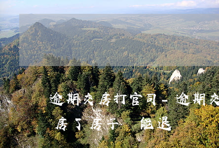 逾期交房打官司-逾期交房打官司后房開交房了房子還能退嗎